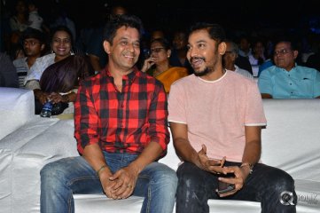 Naa Peru Surya Naa Illu India Pre Release Event Photos